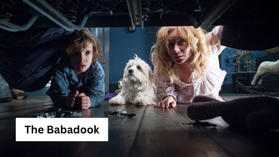 The Babadook 